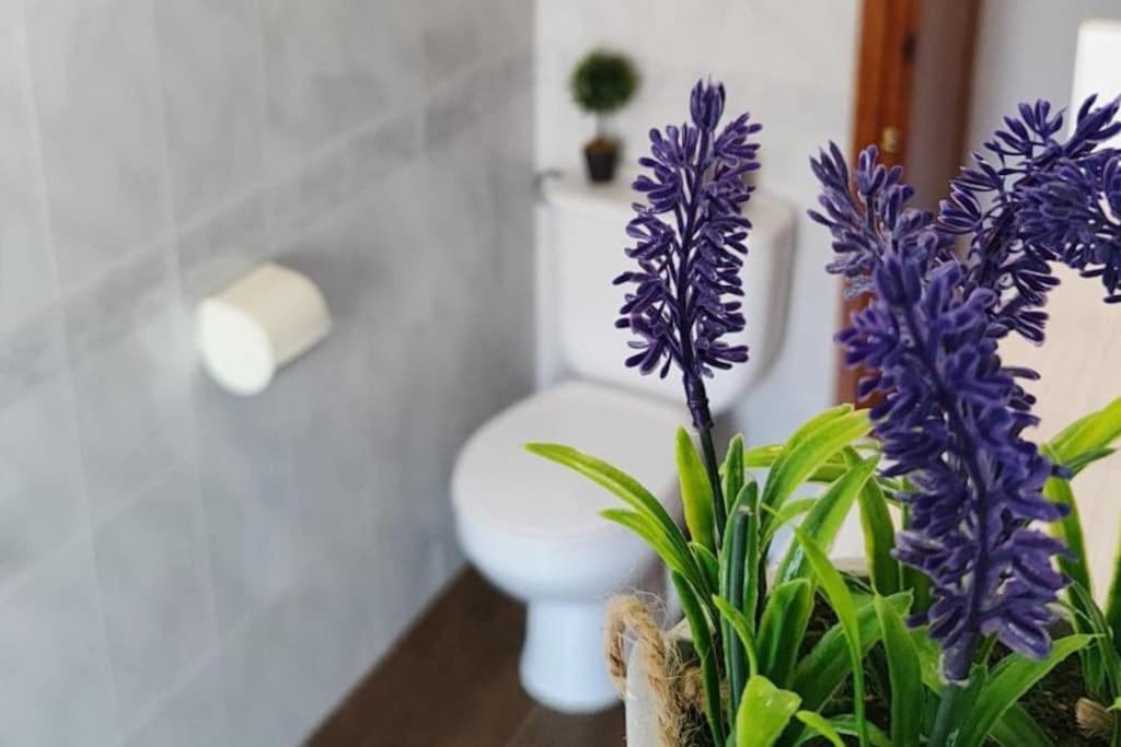 La Casa De Los Tiles Vélez Blanco Eksteriør bilde
